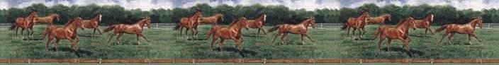 horserunning.JPG - 18565 Bytes